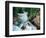 Crystal River, Gunnison National Forest, Colorado, USA-Adam Jones-Framed Photographic Print