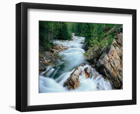 Crystal River, Gunnison National Forest, Colorado, USA-Adam Jones-Framed Photographic Print