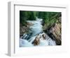 Crystal River, Gunnison National Forest, Colorado, USA-Adam Jones-Framed Photographic Print