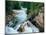 Crystal River, Gunnison National Forest, Colorado, USA-Adam Jones-Mounted Photographic Print