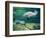 Crystal River Manatee-Lucy P. McTier-Framed Giclee Print