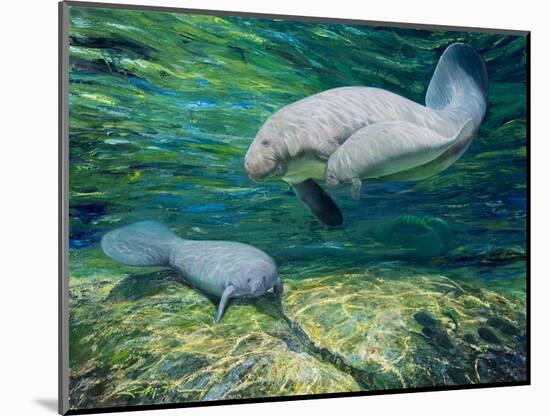 Crystal River Manatee-Lucy P. McTier-Mounted Giclee Print