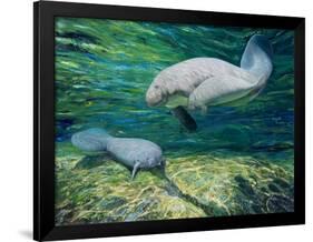 Crystal River Manatee-Lucy P. McTier-Framed Giclee Print