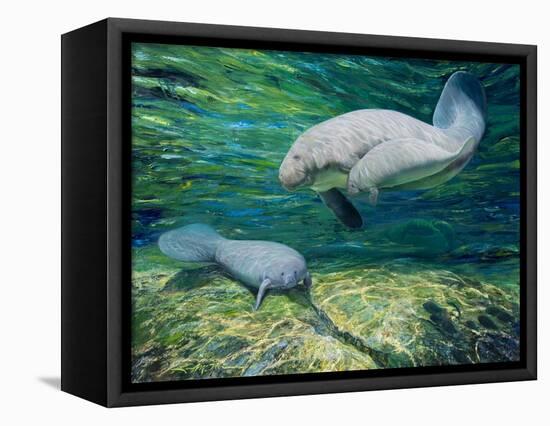 Crystal River Manatee-Lucy P. McTier-Framed Stretched Canvas