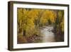 Crystal River, White River National Forest Colorado, USA-Charles Gurche-Framed Photographic Print