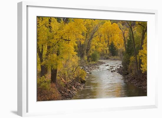 Crystal River, White River National Forest Colorado, USA-Charles Gurche-Framed Photographic Print