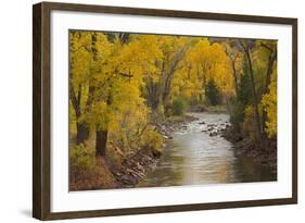 Crystal River, White River National Forest Colorado, USA-Charles Gurche-Framed Photographic Print