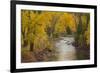 Crystal River, White River National Forest Colorado, USA-Charles Gurche-Framed Photographic Print