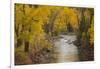 Crystal River, White River National Forest Colorado, USA-Charles Gurche-Framed Photographic Print