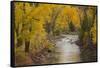Crystal River, White River National Forest Colorado, USA-Charles Gurche-Framed Stretched Canvas