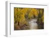 Crystal River, White River National Forest Colorado, USA-Charles Gurche-Framed Photographic Print