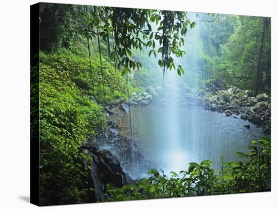 Crystal Shower Falls, Dorrigo National Park, New South Wales, Australia, Pacific-Jochen Schlenker-Stretched Canvas