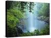 Crystal Shower Falls, Dorrigo National Park, New South Wales, Australia, Pacific-Jochen Schlenker-Stretched Canvas