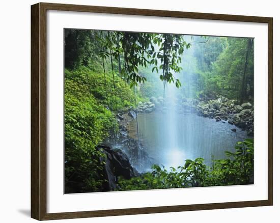 Crystal Shower Falls, Dorrigo National Park, New South Wales, Australia, Pacific-Jochen Schlenker-Framed Photographic Print