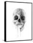 Crystal Skull-Alexis Marcou-Framed Stretched Canvas