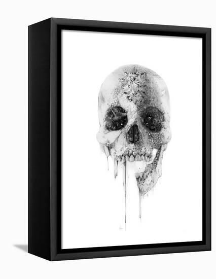 Crystal Skull-Alexis Marcou-Framed Stretched Canvas