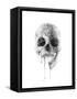 Crystal Skull-Alexis Marcou-Framed Stretched Canvas