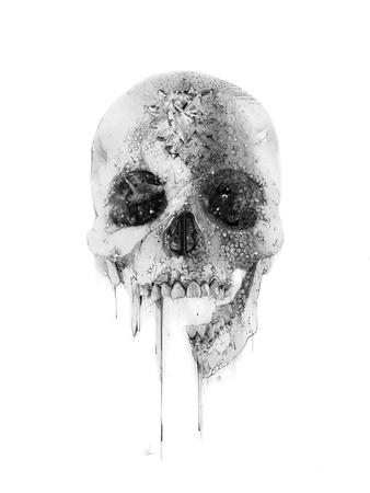 https://imgc.allpostersimages.com/img/posters/crystal-skull_u-L-Q1HM6650.jpg?artPerspective=n