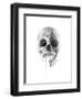 Crystal Skull-Alexis Marcou-Framed Art Print