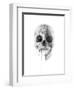 Crystal Skull-Alexis Marcou-Framed Art Print