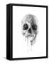 Crystal Skull-Alexis Marcou-Framed Stretched Canvas