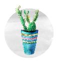 Mojave Cactus 2-Crystal Smith-Art Print