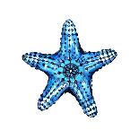 Sea Blue Starfish-Crystal Smith-Art Print