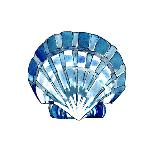 Sea Blue Urchin-Crystal Smith-Art Print