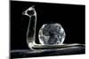 Crystal Snail Ornament-Charles Bowman-Mounted Photographic Print