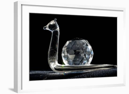 Crystal Snail Ornament-Charles Bowman-Framed Photographic Print