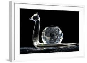 Crystal Snail Ornament-Charles Bowman-Framed Photographic Print