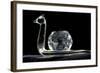 Crystal Snail Ornament-Charles Bowman-Framed Photographic Print
