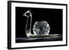 Crystal Snail Ornament-Charles Bowman-Framed Photographic Print