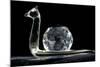 Crystal Snail Ornament-Charles Bowman-Mounted Photographic Print