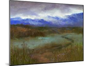 Crystal Springs Path at Dusk-Sheila Finch-Mounted Art Print