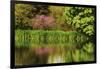 Crystal Springs Rhododendron Garden in Spring, Portland, Oregon, USA-Michel Hersen-Framed Photographic Print