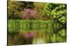 Crystal Springs Rhododendron Garden in Spring, Portland, Oregon, USA-Michel Hersen-Stretched Canvas