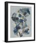 Crystal & Stone I-Joyce Combs-Framed Art Print