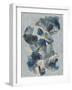 Crystal & Stone I-Joyce Combs-Framed Art Print