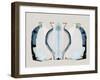 Crystal Urns II-null-Framed Art Print