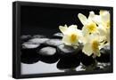 Essential Black