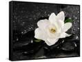 Canvas Black
