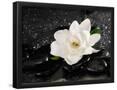 Essential Black