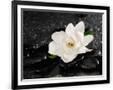 Gramercy Black