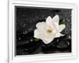 Gramercy White