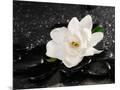 Wood Mount