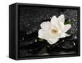 Canvas Black