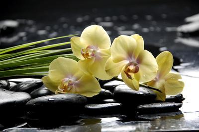 Oriental Spa with Orchid and Bottles with Essential Oil and Palm Leaf