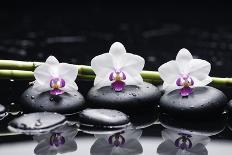 Spa Still Life with Three Orchid and Zen Stones with Bamboo Grove Reflection-crystalfoto-Photographic Print