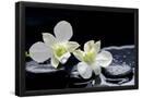Essential Black